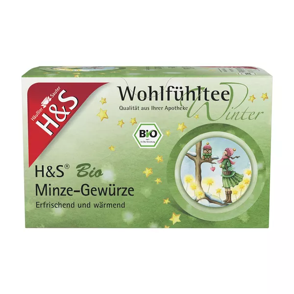 H&S Wintertee Bio Minze-Gewürze Filterbe 20X2,0 g