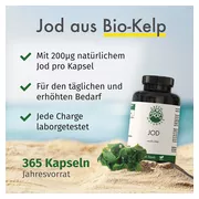 Green Naturals Jod aus Bio-Kelp 200 µg K, 365 St.
