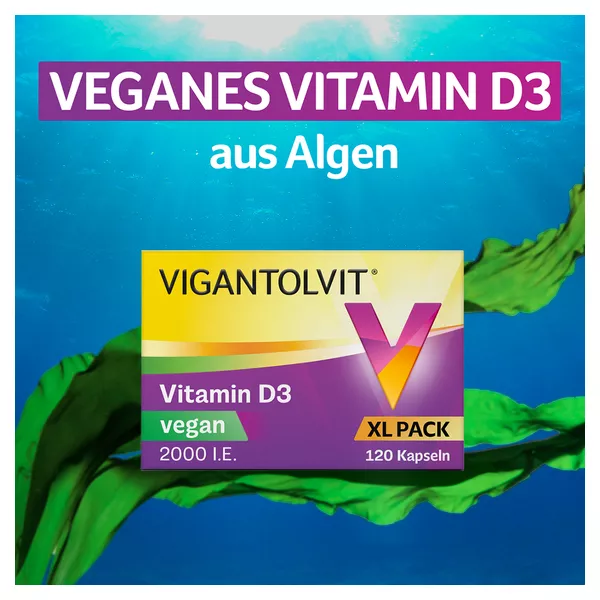 VIGANTOLVIT Vitamin D Vegan 120 St