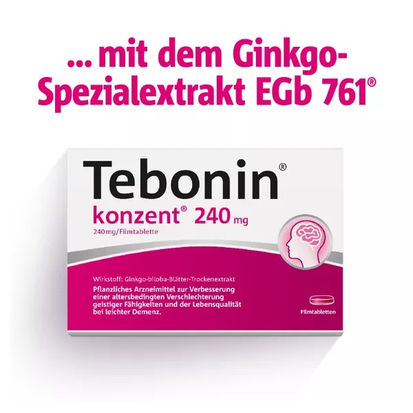 Tebonin konzent 240 mg - 2 x 120 St. 2X120 St